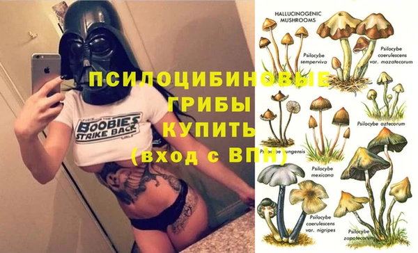 соль ск Абдулино