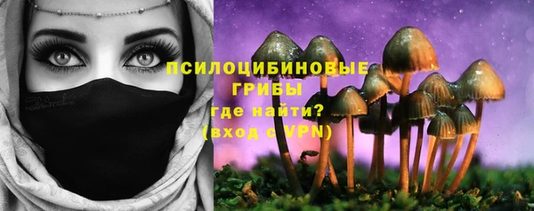 Альфа ПВП Приозерск