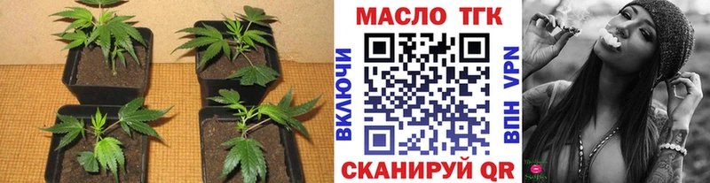 ТГК Wax  Знаменск 