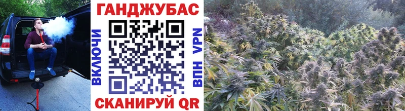 Марихуана OG Kush Знаменск